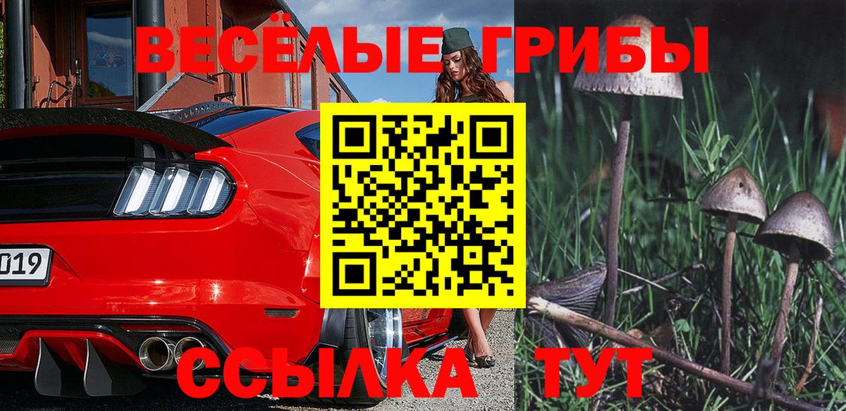 Псилоцибиновые грибы мицелий  купить наркотики цена  Мурманск  Вход с VPN 