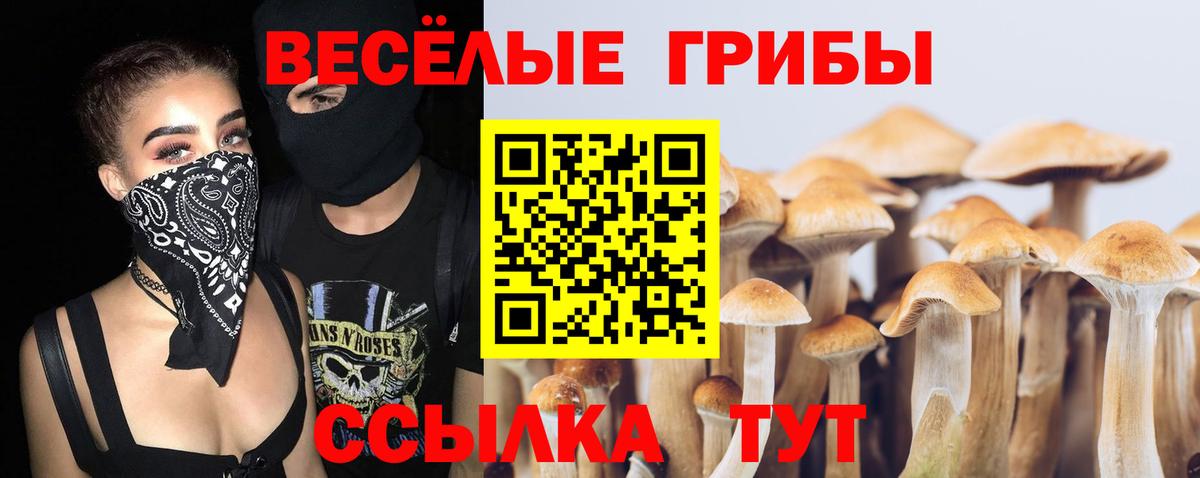Псилоцибиновые грибы Magic Shrooms Мурманск